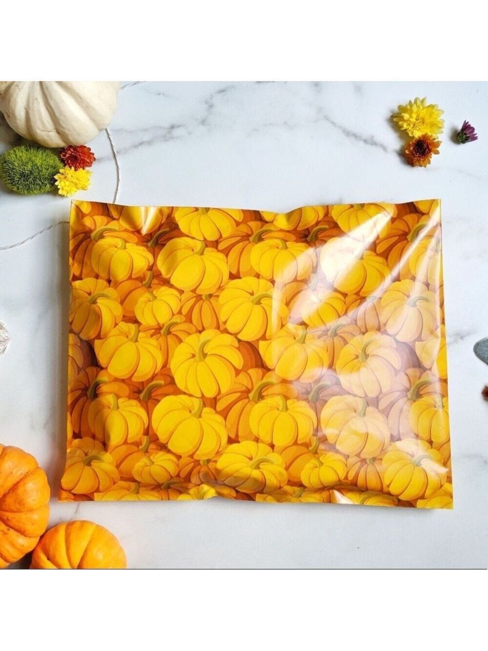 25 10X13 Poly Mailers Pumpkin, Shipping Envelopes Bags PRICE IS FIRM Fall - Picture 2 of 11